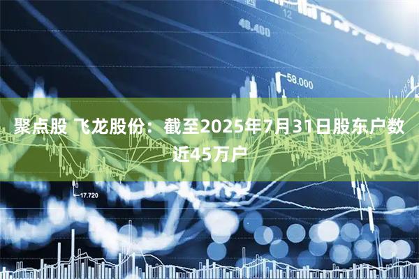 聚点股 飞龙股份：截至2025年7月31日股东户数近45万户
