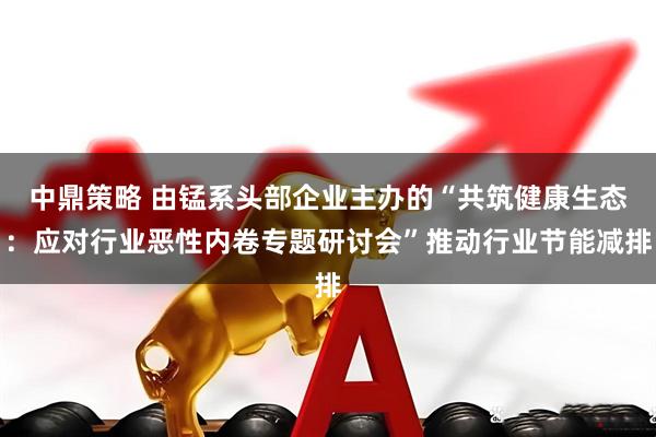 中鼎策略 由锰系头部企业主办的“共筑健康生态:应对行业恶性内卷专题研讨会”推动行业节能减排