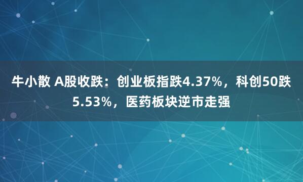 牛小散 A股收跌：创业板指跌4.37%，科创50跌5.53%，医药板块逆市走强